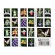 U.S. 2021 Wild Orchids Framed Forever Stamps