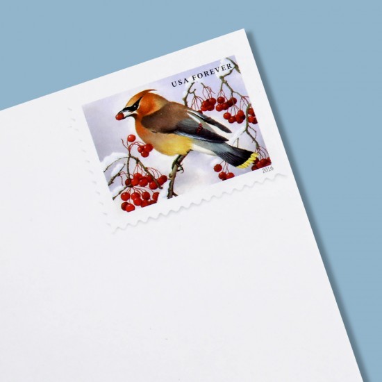 2016 US First-Class Forever Stamp - Songbirds in Snow