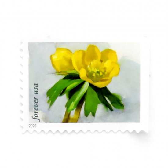 2022 First-Class Forever Stamp - Snowy Beauty: Winter Aconite